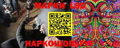 сатива Краснодар