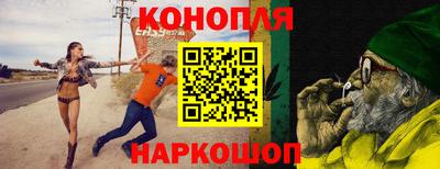 сатива Краснокаменск