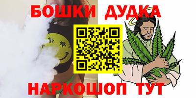 сатива Краснодар