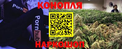 сатива Краснокаменск