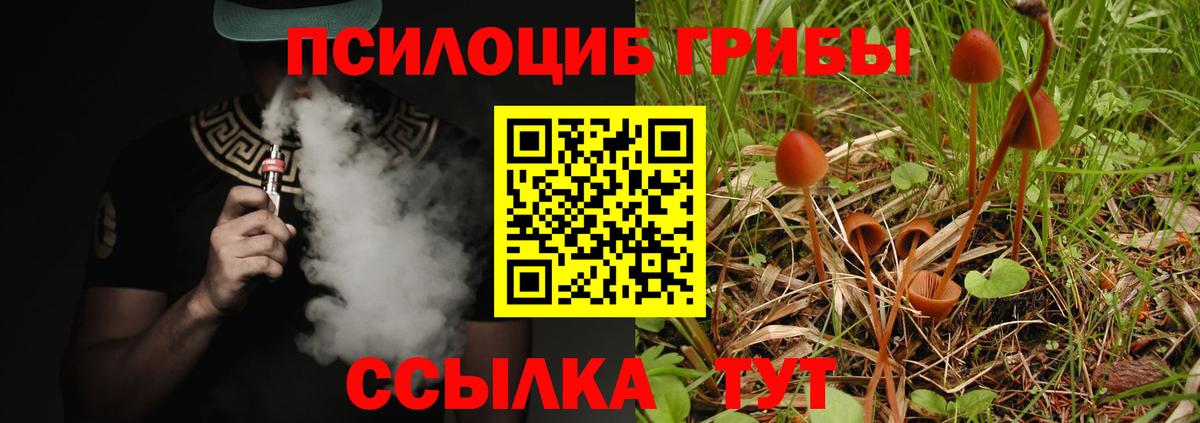 Заинск  Псилоцибиновые грибы ЛСД  Вход с VPN  Галлюциногенные грибы мухоморы 