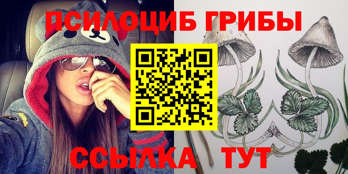 Псилоцибиновые грибы прущие грибы Заинск