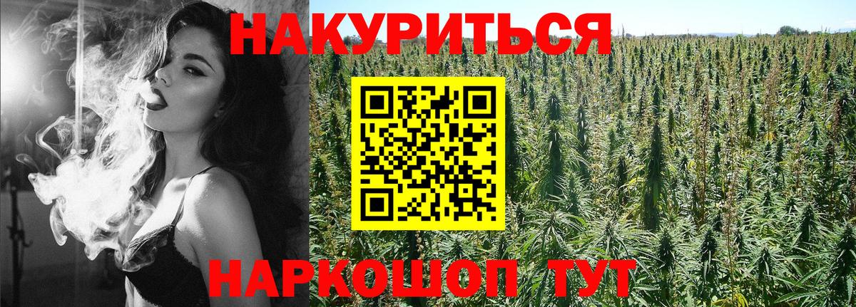 МАРИХУАНА Amnesia  Вход с VPN  Бошки марихуана сатива  Заинск  МАРИХУАНА план 